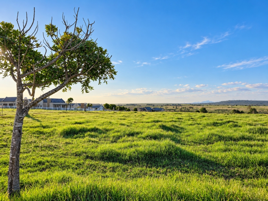 0 Bedroom Property for Sale in Kabeljauws Eastern Cape
